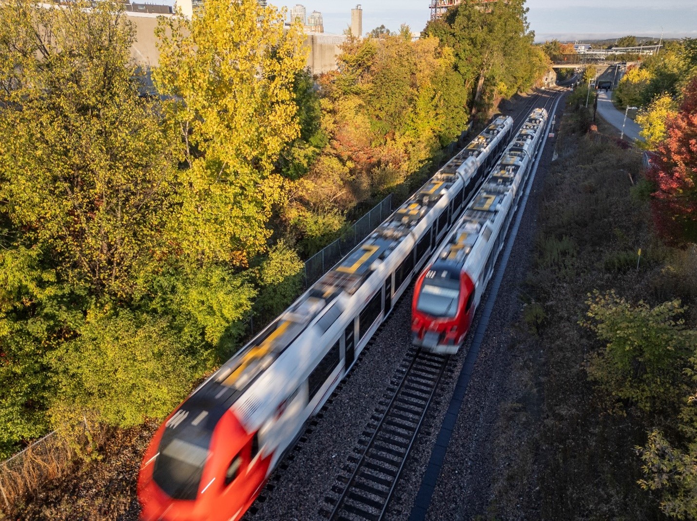 Deux trains Stadler FLIRT traversant une zone boisée en automne, entourés des couleurs vibrantes de la saison : orange, jaune et vert.